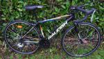 Raleigh r-line sport roues 24p